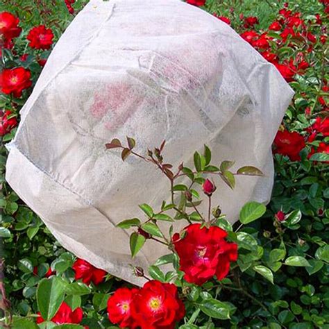 fleece bags for plant protection.